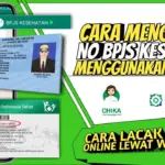 Cara Melihat Nomor BPJS Kesehatan Hanya dengan NIK KTP