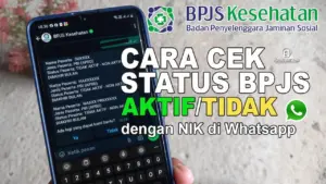 Cara Cek BPJS Aktif atau Tidak Paling Mudah & Cepat (Update 2026)