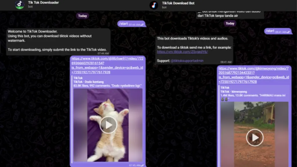 Telegram Tiktokdownloaderbot